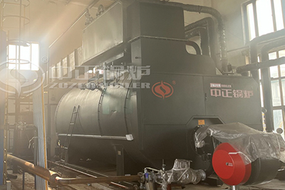 6000kg diesel fuel boiler