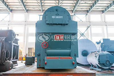 biomass fired chain grate boiler