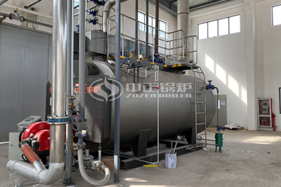 diesel fired steam boiler