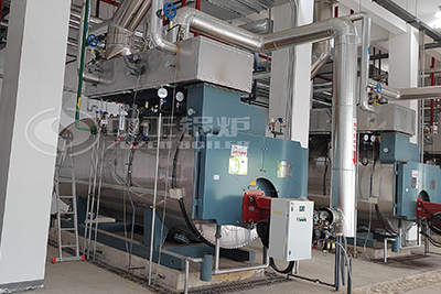 diesel light oil fired boiler