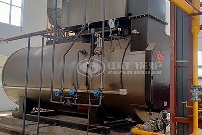 diesel light oil fired boiler