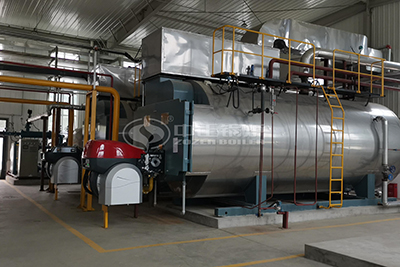 oil diesel fired steam boiler