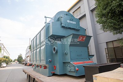 palm shell biomass fired boiler