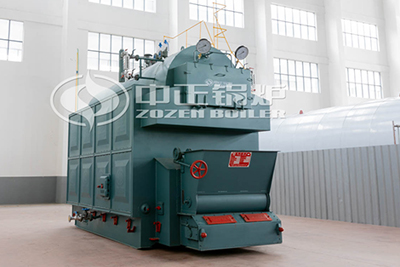 DZL series biomass fired steam boiler