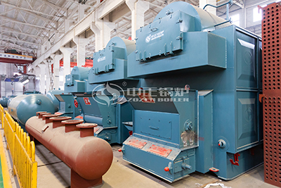 biomass pellet chain grate boiler