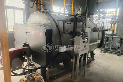 diesel fired steam boiler in chemical plant