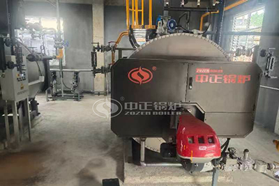 8000kg fire tube steam boiler