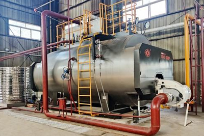 ZOZEN gas steam boiler operating in pharmaceutical factory