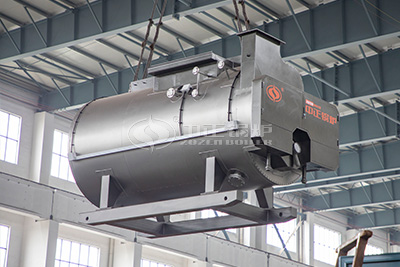 diesel oil fuel steam boiler