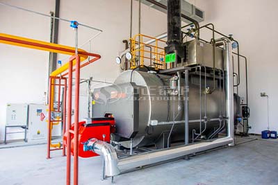 oil diesel fired boiler used in food factory