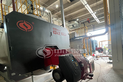 oil gas fired steam boiler price