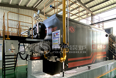 oil gas fried boiler for chemical industry