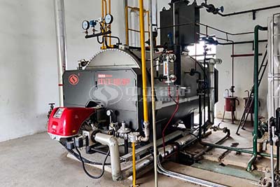 6000 kg steam boiler oil diesel fuel