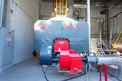 diesel steam boiler in carton packaging industry