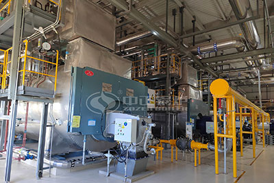 diesel steam boiler for food plant