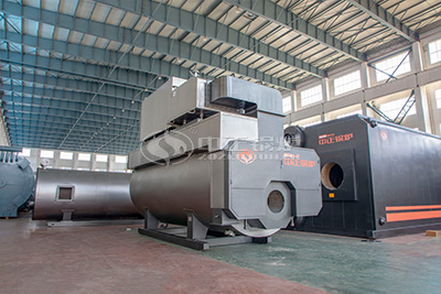 light oil diesel fire steam boiler