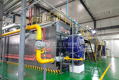 ZOZEN SZS series diesel water tube boiler