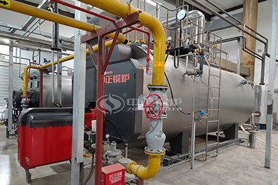 ZOZEN industrial oil fired package boiler