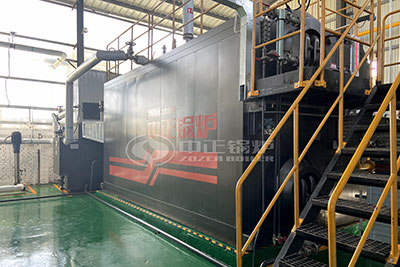 10 ton oil diesel fired boiler in paper plant