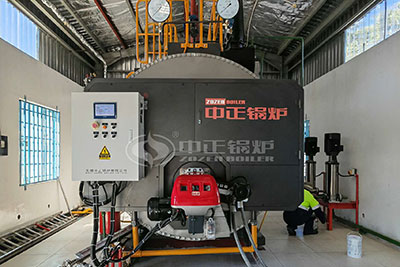 3 ton diesel boiler in Botswana