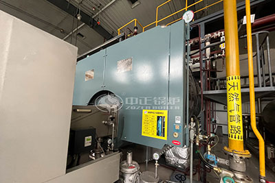 ZOZEN 15 ton diesel fired boiler site