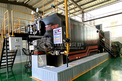 ZOZEN light oil fired steam boiler