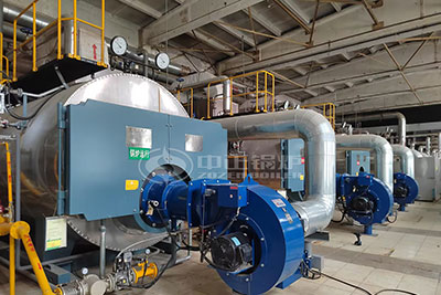 industrial fuel oil boiler in dairy plant