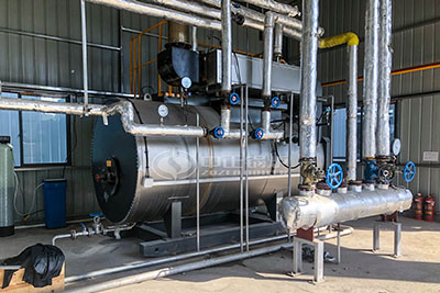 zozen gas fired boiler used in dairy plant