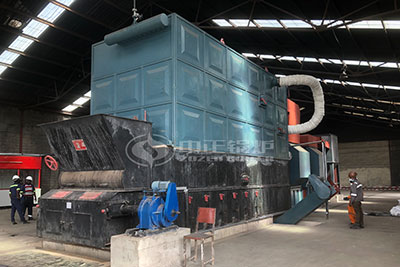 ZOZEN YLW coal fired thermal oil boiler