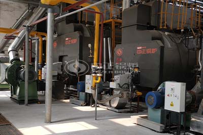 ZOZEN wns series oil fired boiler