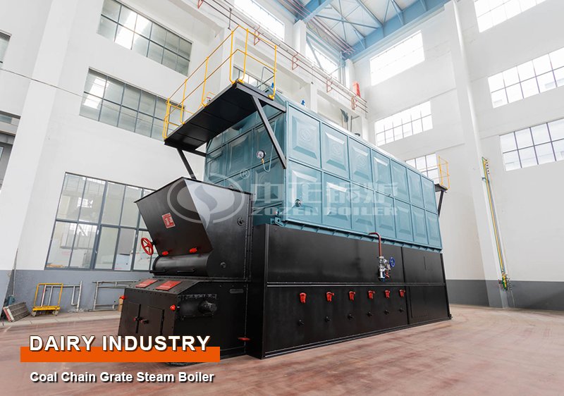 25 Tons Coal-Fired Chain Grate Steam Boilers South Africa