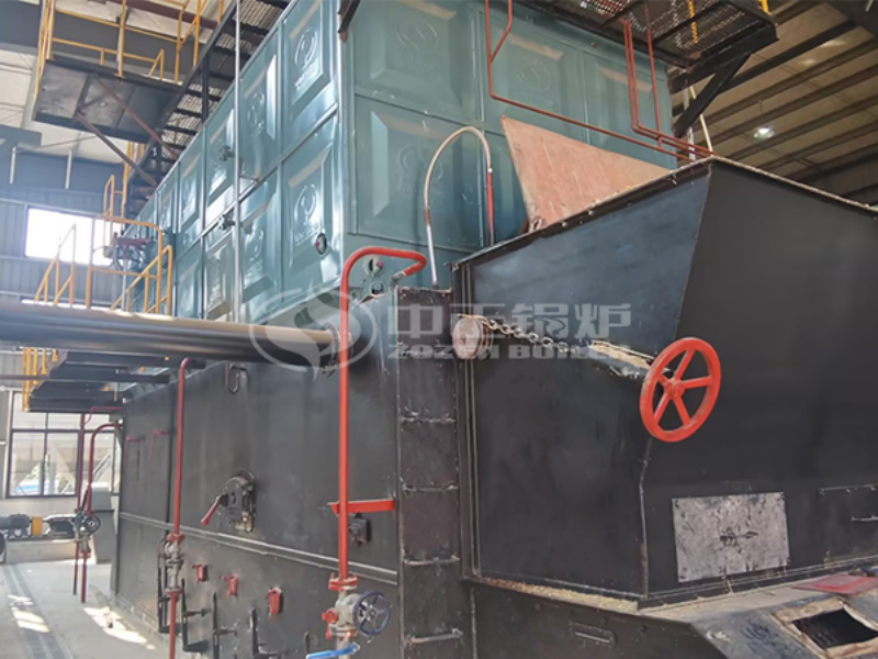 ZOZEN 6 Ton Chain Grate Biomass Steam Boiler