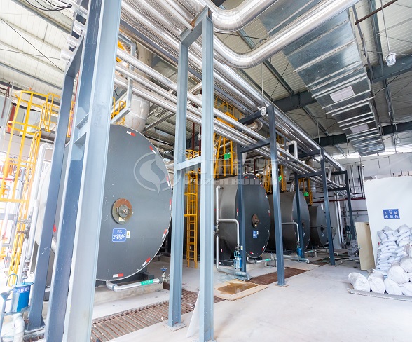 ZOZEN Packaged Boilers