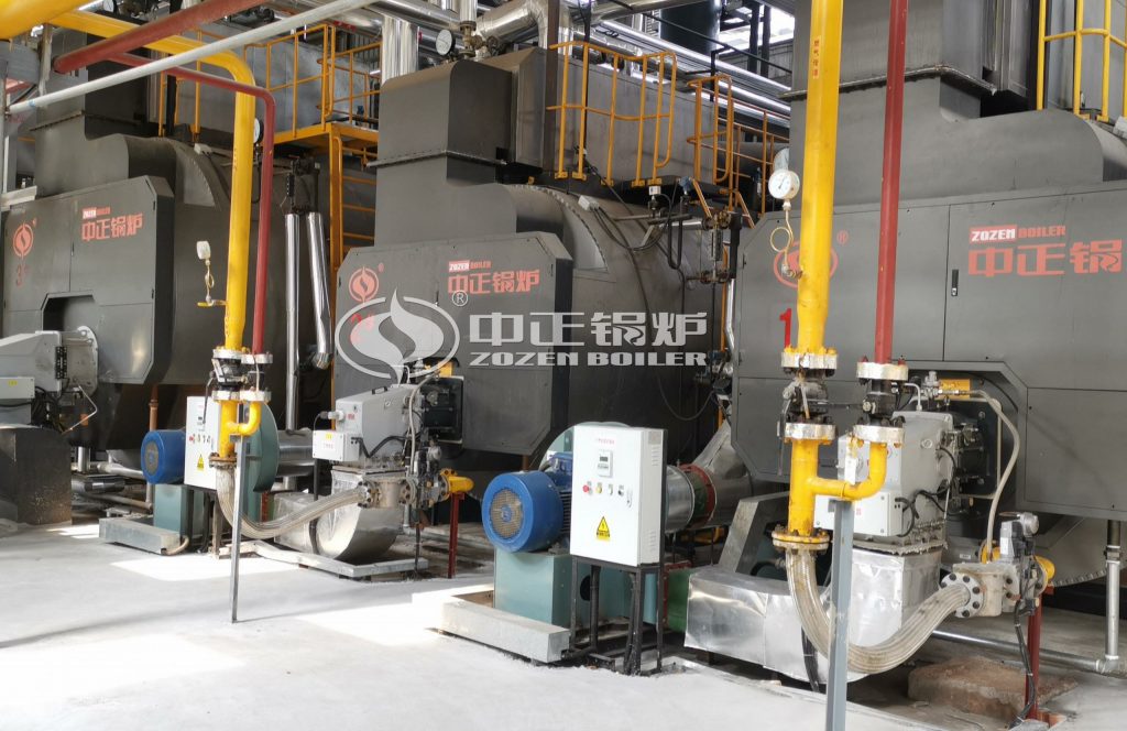 ZOZEN Diesel Fuel Steam Boiler