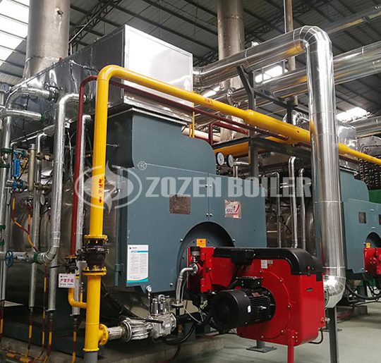 wns gas fired industrial boiler-project