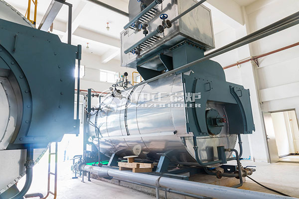 biomass hot water boiler