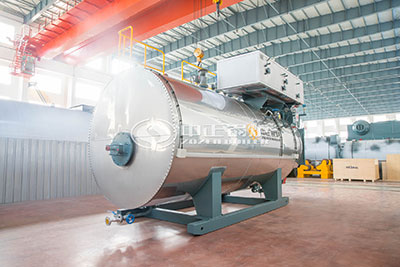 wns diesel steam boiler