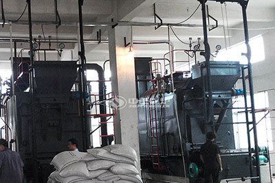 8tons biomass-fired boiler