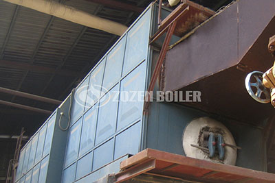 15tph Coal-fired Water Tube Boiler in Philippines