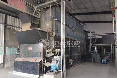 2 tons biomass steam boiler