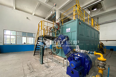 6 tons SZS series gas boiler