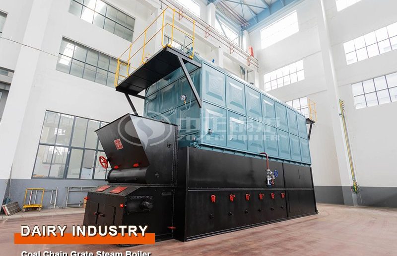 25 Tons Coal-Fired Chain Grate Steam Boilers South Africa