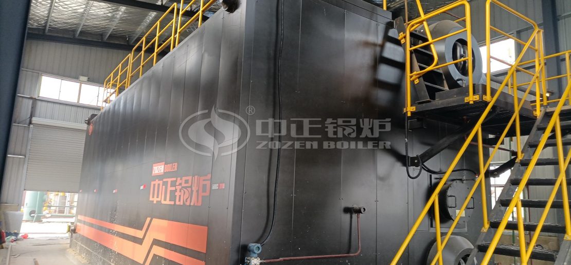 ZOZEN Biogas Boiler Manufacturer