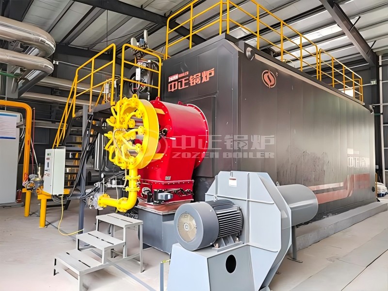 ZOZEN 20 Tph Gas Fired Steam Boiler