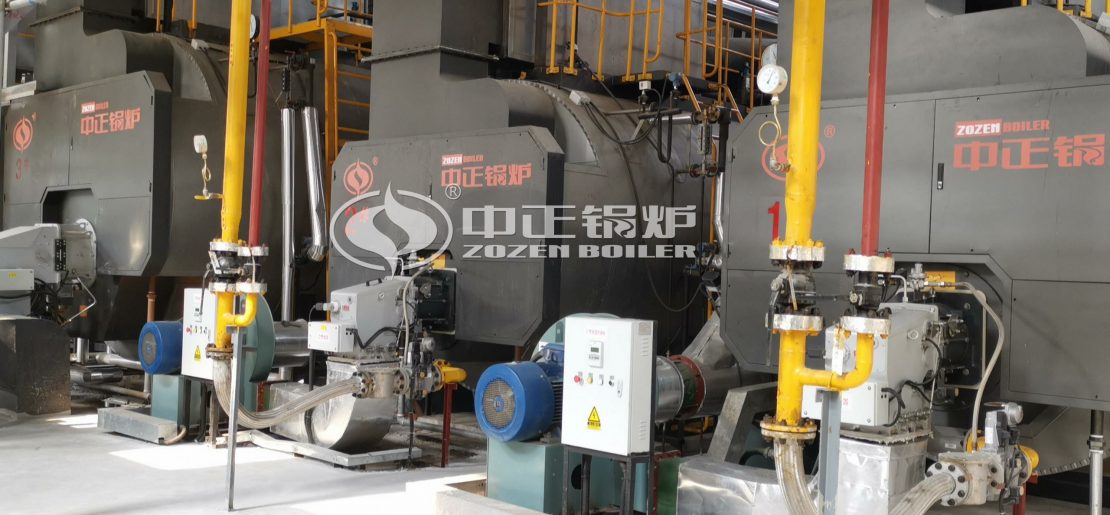 ZOZEN Diesel Fuel Steam Boiler