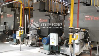 ZOZEN Diesel Fuel Steam Boiler