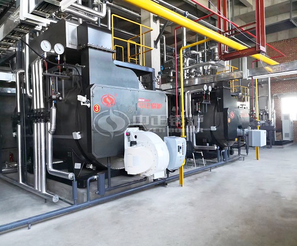 ZOZEN 3 Tonhr Fire Tube Boiler