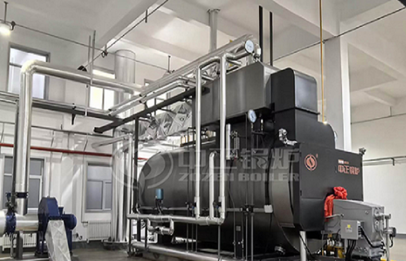 ZOZEN 10 Ton Biogas Steam Boiler