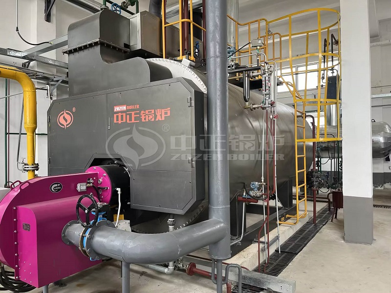 ZOZEN 5 Tph Hydrogen Steam Boiler